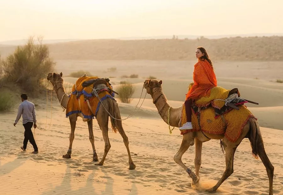 puhskar-camel-69424b7e6998e