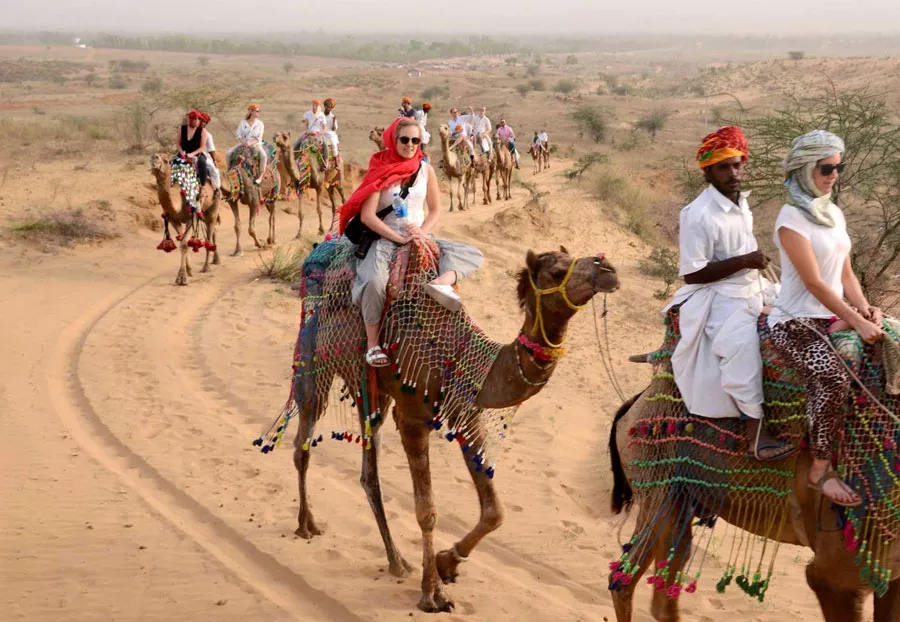 pushakr-camel-69424b7e69f97